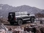 Good Condition New Version 3.0T Tank 300 SUV 4WD Hybrid EV Petrol New Car