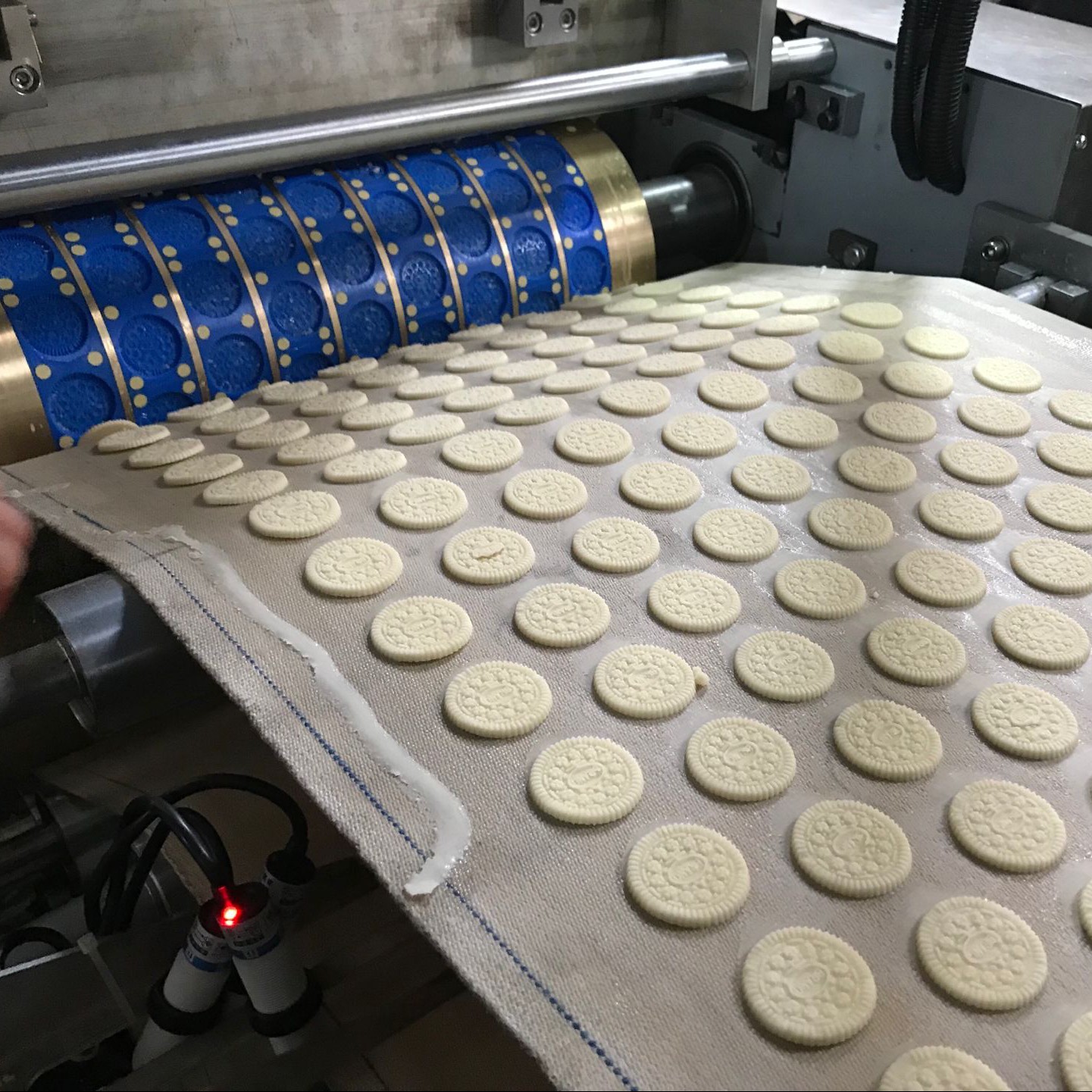 Commercial High Productivity Small Soft Biscuit Cookies Production Line