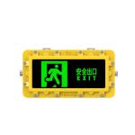 Customized Rechargeable Emergency Light 2W AC220V Explosion Proof LED Emergency