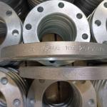 10K Carbon Steel Flange SS400 JIS B2220 RTJF Blind Ring Type Joint Fitting