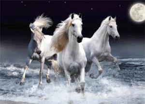 China Wholesale products pvc custom made poster lenticular 3d pictures of animals 3D flip lenticular decoration picture factory