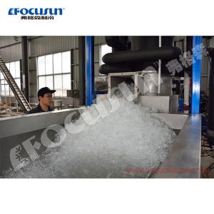 Condition 15 Tons Capacity Tube Ice Making Machine with Packing Machine 4690kg