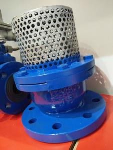 China PN16 Cast Iron Flanged Foot Valve With Stainless Steel Screen factory