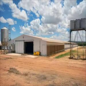 China Modern Design Waterproof Thermal Insulation Chicken House Laying Chicken House Steel Structure Poultry House factory