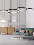Aluminum lamp body simple, warm, two color, fantastic concept Chandelier