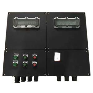 BK8050 Series Eplosion Proof Control Box Used In Dangerous Places
