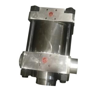 Custom Hydraulic Cylinder 25MPa 300mm Stroke Dual Action