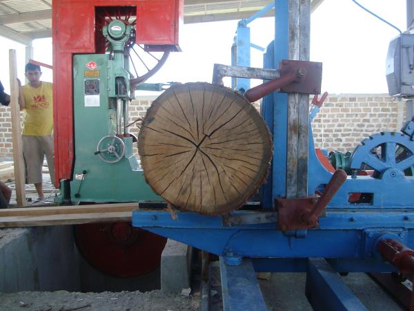 MJ329 Vertical Band Sawmill with Log Carriage /Manual or electric feeding