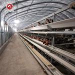 Poultry Farming Battery Cage System With Hot Galvanized Coating For Laying Hens