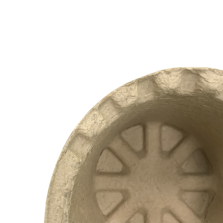Sugarcane Bagasse Paper Molded Recycled Box Insert Trays Mold Pulp Packaging Biodegradable