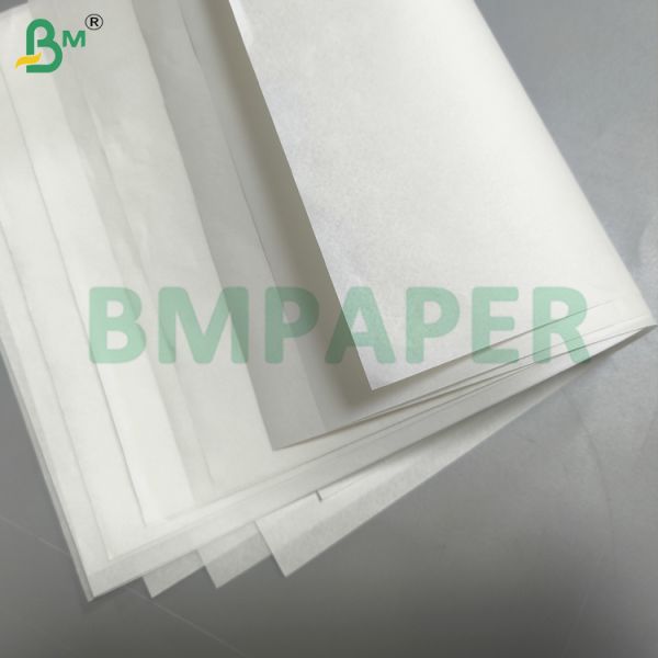 Cupcake Liner Paper For Baking Cup No Smell Grease - Proof Muffin Liner Paper Cupcake Liner Paper For Baking Cup No Smell Grease - Proof Muffin Liner Paper