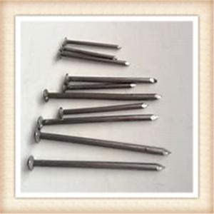 China Common Nail factory