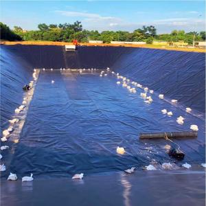 High Density Polyethylene HDPE LDPE Geomembrane for Dam Liner Fish Farm Pond