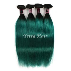 China Dark Roots Green Ombre Human Hair Extensions / Brazilian Hair Weave factory