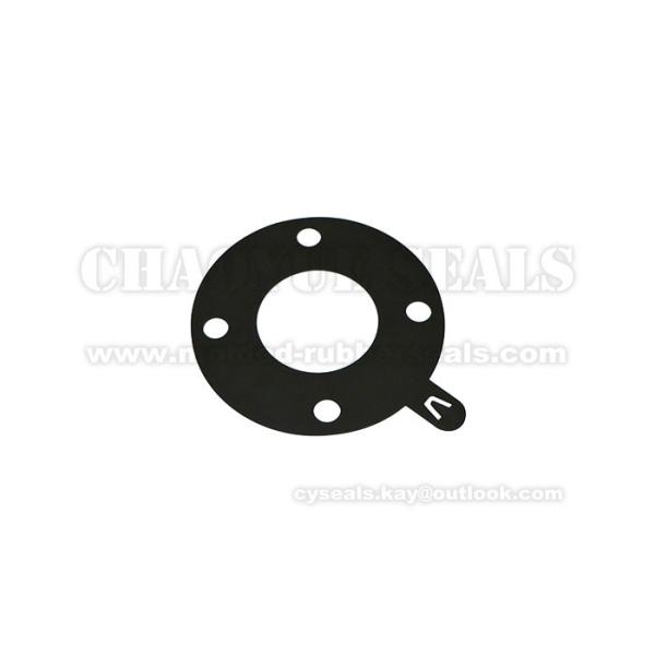 China Gardening Tools FKM Rubber Gasket Washer Seal 2 Inch Q Shape Frost Surface factory
