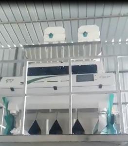 China Agriculture Intelligent Pumpkin Seeds Colour Sorter Machine Seed Color Sorter factory