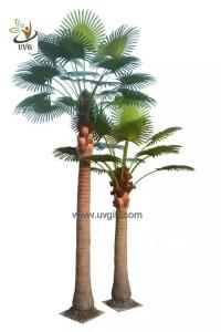 China UVG PTR048 factory price fake coconut palm tree for indoor office landscaping factory