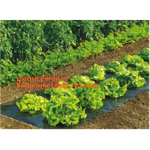 high light transmittance solar control seeding nursery greenhouse covers,100%