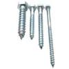 Fasteners Supplier Din571 Galvanized Or Stainless Steel Hex Head Wood Screw Lag