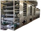 Multi Layers 220v-450v 30mm Length Mesh Belt Dryer For Garlic Pepper Ginger