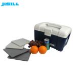 290ml Fit Fresh Cool Box Ice Packs , Freezer Cool Packs 19*19*1cm Size For Food