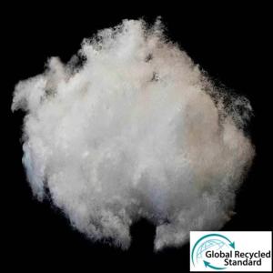 China 20D PET Staple Fiber factory