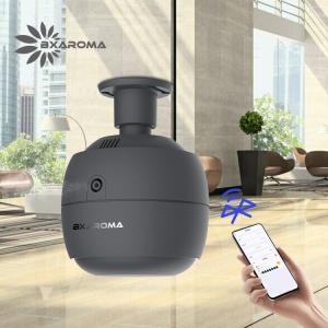 China Commercial Usb Aroma Diffuser Electric Nebulizer Customized Popular factory