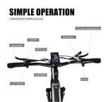 Fat Tire Electric Mountain Bikes For Adults 26 Inch 750W Motor 17Ah Lithium