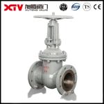 ANSI 300lb DN15-DN600 Stainless Steel Flange Ends Globe Valves for Customized