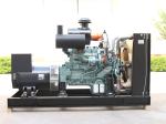 100% Pure Copper Brushless Alternator 200KW Natural Gas Generator Set for