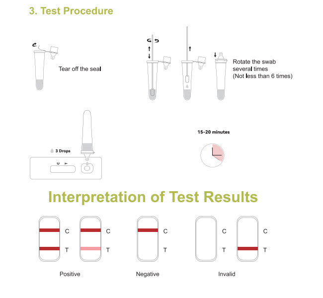 SARS-CoV-2 Antigen Swab Test Kit 10 Tests/Kit CE Accuracy 99.68% Professional Test