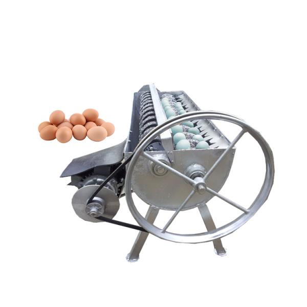 Directly manufacturers crate washer pallet washing machine egg hatching tray