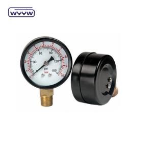 China Dry Commercial Pressure Gauges WYYW factory