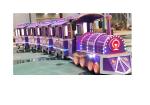 Safety Trackless Kiddie Train For Toddlers Mini Express Trackless Train
