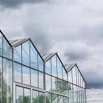 Automatic Control Intelligent Agricultural Glass Greenhouse For Sale Farm