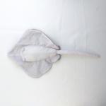 EN71 Azo Free Fabric Cotton Soft Toys Plush Ray Stuffed Cute Sea Animal Toys