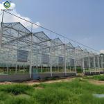 Adjustable Shading Net Venlo Greenhouse Multi Span Glass Green House