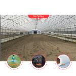 Agriculture Chinese Organic Mushroom Shitake Green House Single-span Blackout