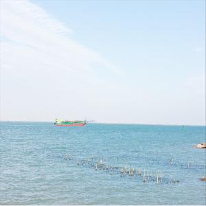 China Lcl Fcl Sea Freight Forwarder Service To Worldwide factory