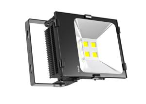 China IP65 100w Waterproof Led Flood Lights 6030 Aluminium 5 years warranty factory