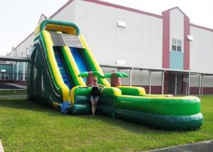 China Screamer Garden Water Slides Tropical Theme Kidwise Backyard Water Slide factory