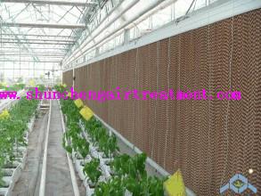 5090/6090/7090 farm/factory/greenhouse evaporative cooling pad with high