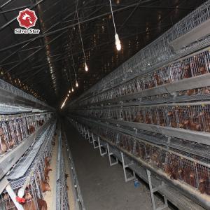 China Hens Layer Egg Chicken Cage Automatic Feeding System factory
