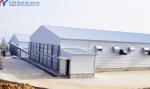 Chicken Raising Automatic Poultry Cage , Battery Chicken Cages For Laying Eggs