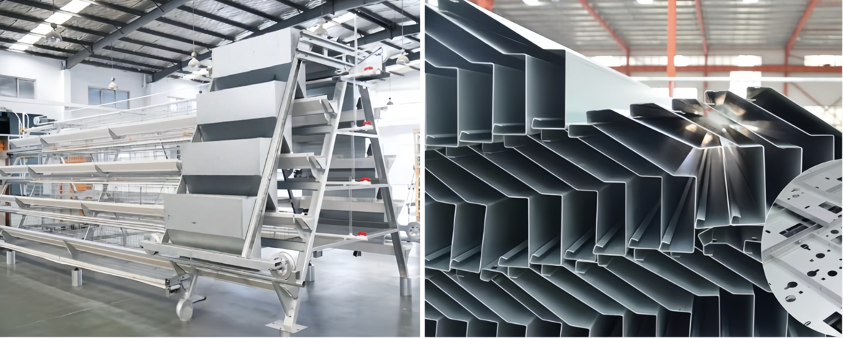 Modern Steel Poultry House Chicken Egg Collection System For Laying Hen