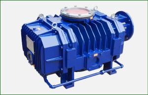 China Stainless Steel Roots Blower Vacuum Pump Simple Structure ZJQL-2500 factory