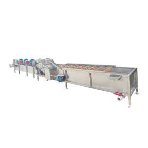 China Vegetable Washing and Drying Machine Fresh Fruit Vegetable Processing Units Low Consumption High Efficiency Dried Products 5.1KW on sale