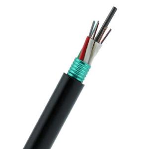 China Corrugated Steel SM G652D Optic Fiber Cable 48core Armored factory