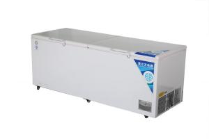 China Deep Horizontal Direct Cooling Refrigerator Commercial Household Dual Purpose factory