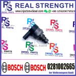BOSCH Control Valve DRV Regulator Solenoid 0281002665 for Volkswagen/Audi